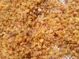 Сухофрукты орехи курага изюм арахис из Узбекистана - photo 2