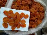 Сухофрукты орехи курага изюм арахис из Узбекистана - photo 4
