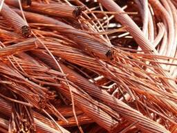 Best Quality Of Copper Wire Scrap 99.99% / Copper Metal Scraps At Low Prices