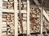 Chopped beech firewood / Дрова колоті букові / Kaminholz / Gehacktes Buchenbrennholz - фото 9