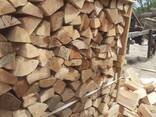 Chopped beech firewood / Дрова колоті букові / Kaminholz / Gehacktes Buchenbrennholz - фото 14
