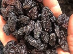 Dried black grapes (jambo giant)