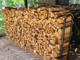Dry Beech / Oak Firewood in Pallets/Dried Oak Firewood, Kiln Firewood, Beech Firewood Whol
