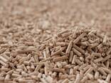 Enplus A1 wood pellets - фото 2