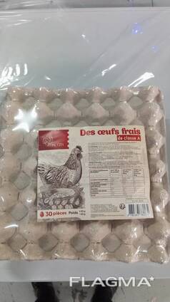 Fresh chicken table eggs