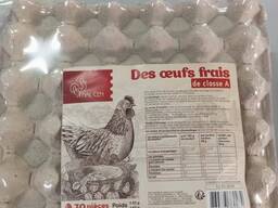 Fresh chicken table eggs