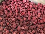 Frozen fruits from Moldova