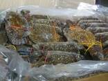 Whole red live king crab hot sale best quality frozen cut swimming crab/ Dungeness Crab - фото 2