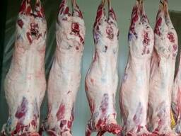 Frozen lamb and mutton