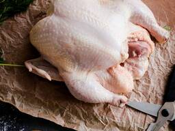 Halal Frozen Chicken, Thigh, Back quarter, Wings , Fillet
