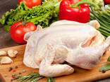 Halal Frozen Chicken, Thigh, Back quarter, Wings , Fillet IPBF , IQF, BF. Ukraine !! - фото 2