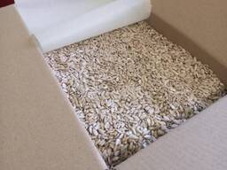 I will sell confectionery sunflower kernels from 22 t