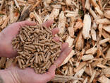 IN STOCK EN Plus-A1 6mm/8mm Fir, Pine, Beech wood pellets in 15kg bags FOR SALE