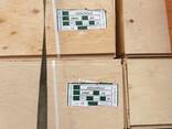 Multiplex FK 1525*1525 groothandel uit Kazachstan, FCA Polen - photo 5