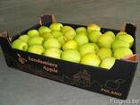Package and packing of apple - boxes, corrugated boxes, corr