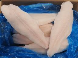 Pangasius fillets