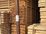 Бревно оцилиндрованное - фото 1