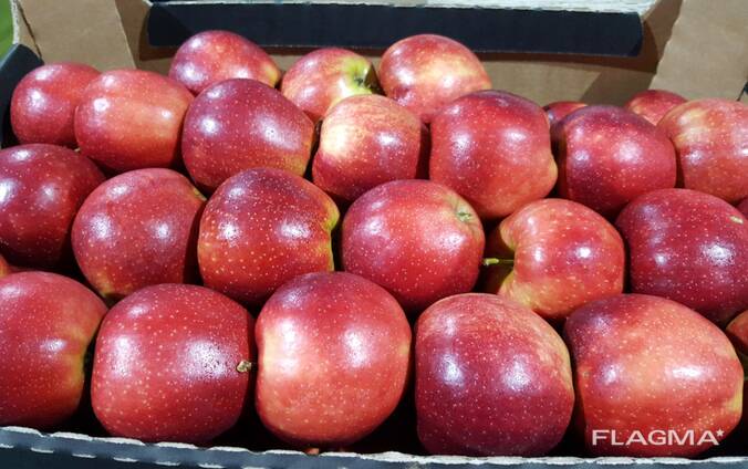 Polish apples (wide range of varieties)