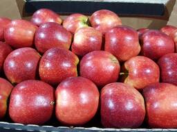 Polish apples (wide range of varieties)