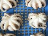 Предлагаем мороженные морепродукты в Бельгию от завода из КНР - фото 5