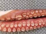 Предлагаем мороженные морепродукты в Бельгию от завода из КНР - фото 7
