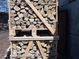 Продам дрова рубані - фото 1