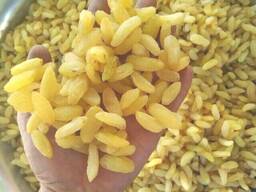 Raisin yellow variety (Giant) upper class