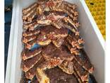 Alaskan Live King Crab, 2.5 - 4.5kg// Whole Fresh Crab - фото 3