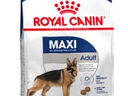 Royal Canin Pet Food, Royal Canin Dog Food, Royal Canin Cat Food