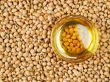 Soybean oil - фото 1