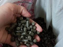 Sunflower husk pellets