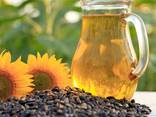 Sunflower oil - фото 1