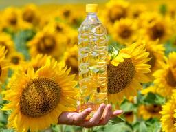Sunflower refined oil
