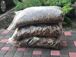 Teilweise Kiefernrinde