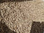 Топливные пеллеты - фото 1