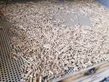 Топливные пеллеты - фото 2