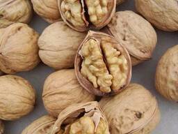 Walnuts
