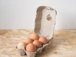 Wholesale Brown and White Chicken Eggs For Sale/ Fresh Chicken eggs, Table Eggs price - фото 1