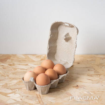 Wholesale Brown and White Chicken Eggs For Sale/ Fresh Chicken eggs, Table Eggs price