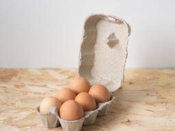 Wholesale Brown and White Chicken Eggs For Sale/ Fresh Chicken eggs, Table Eggs price