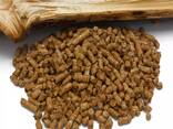 Pine wood pellets for Home and best quality - фото 4