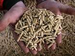 Wood Pellets / Europe Wood Pellets DIN PLUS / Wood Pellets For Italy - фото 1