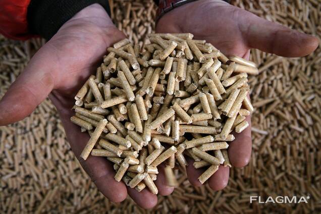 Wood Pellets / Europe Wood Pellets DIN PLUS / Wood Pellets For Italy