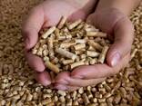 Wood pellets poland wood pellet manufacturers wooden pellet - photo 1
